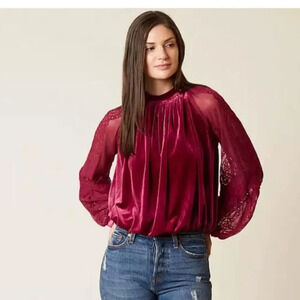 NWT Free People Raspberry Dream Team top, velvet with mesh sleeves & embroidery